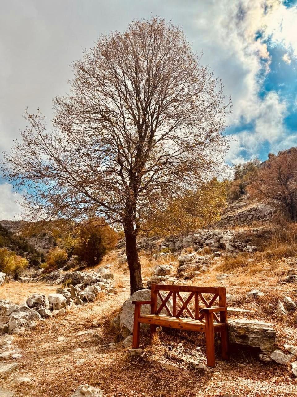 Stone Cellars Hotel Douma Luaran gambar